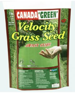 Canada Green Velocity Premium Grass Seed 1 kg